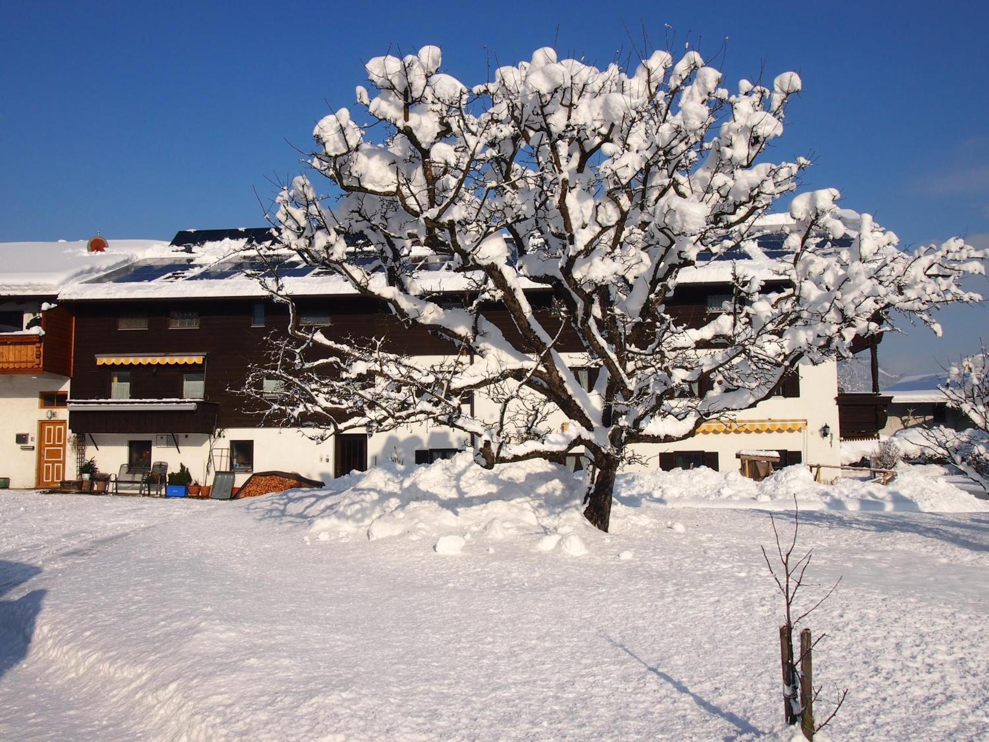 Pension Wagnerhof Oberaudorf Exterior photo